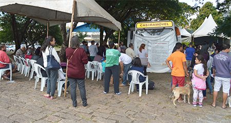Read more about the article Mais 400 cães e gatos foram castrados e chipados em Salto
