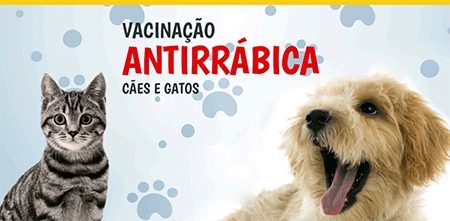 Leia mais sobre o artigo Dia 25 de maio: hora de levar seu cão ou gato para vacinar na região do Marília
