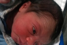 blog do nelson lisboa Salto