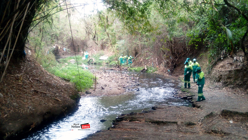 crime ambiental no rio Tietê