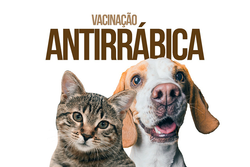 Vacinação antirrábica em Salto