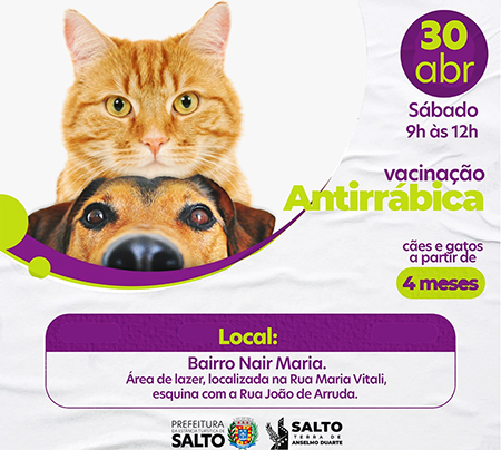 Read more about the article Amanhã tem vacinação antirrábica no Jardim Nair Maria