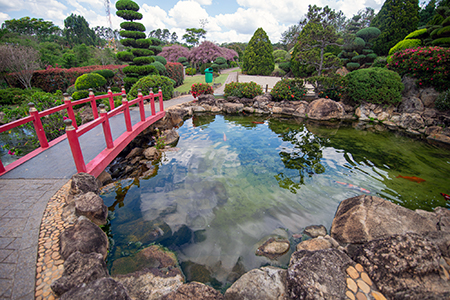 Leia mais sobre o artigo Dica para seu feriado prolongado: Parque Maeda, em Itu