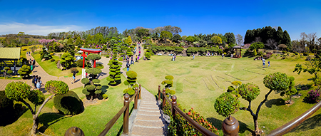 Leia mais sobre o artigo Que tal curtir as férias de seus filhos no Parque Maeda em Itu?