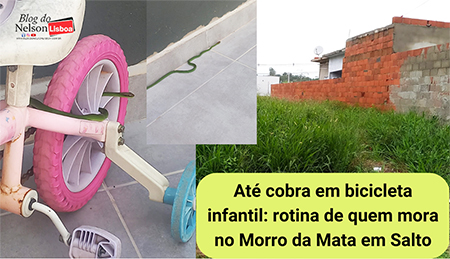 Leia mais sobre o artigo Moradores encontram até cobra enrolada em bicicleta infantil no Morro da Mata
