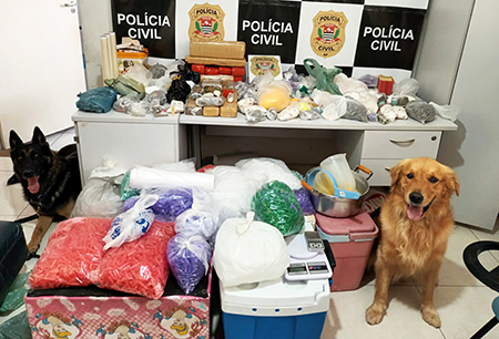 Leia mais sobre o artigo Cães da GCM ajudam policiais da região a encontrarem muita droga durante buscas em Salto