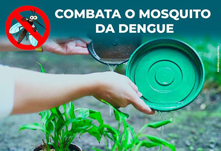 Leia mais sobre o artigo São Pedro e São Paulo tem explosão de casos de dengue em Salto
