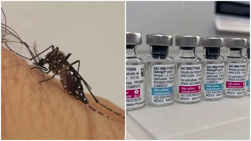 Vacina contra a dengue em Salto