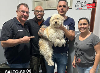 Cachorra agredida com chave de roda automotiva é resgatada em Salto