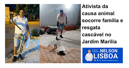 Leia mais sobre o artigo Ativista da causa animal socorre família e resgata cascável no Jardim Marília