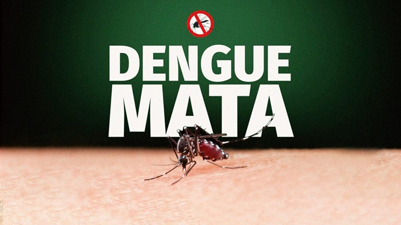 dengue mata