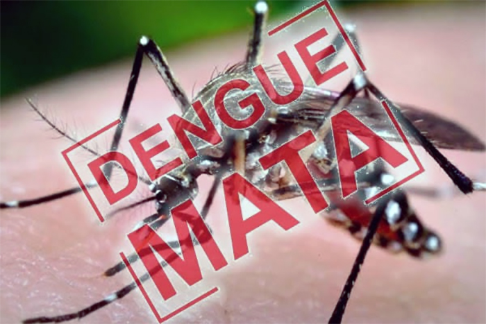 Cidades da região registram mais mortes de dengue em 2025