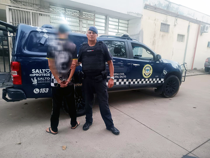 Violência Doméstica deve ser enfrentada por toda a sociedade