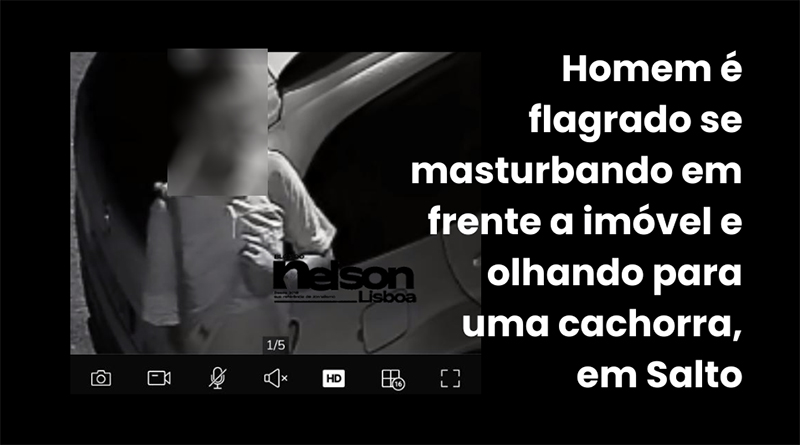 Homem é flagrado se masturbando olhando para cachorra em Salto