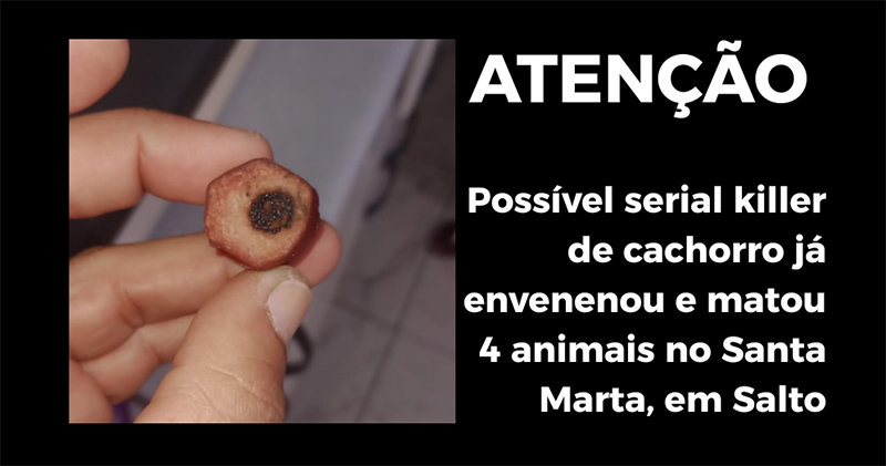 Leia mais sobre o artigo Atenção: possível serial killer de cachorro já envenenou 4 animais no Santa Marta