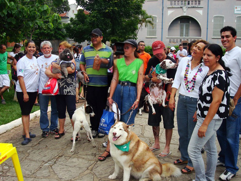ONG Bicho SA de Itu é retomada com mais projetos e busca voluntários