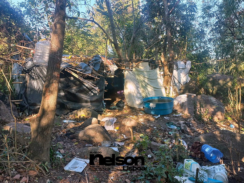 Leia mais sobre o artigo Rapaz em sofrimento mental, que fugiu do hospital no dia 27, é recolhido pela GCM