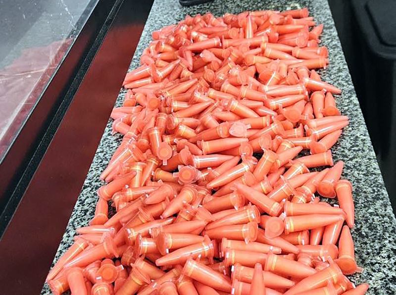 Guarda de Salto apreende muita droga e prende 6 em ocorrências em Salto