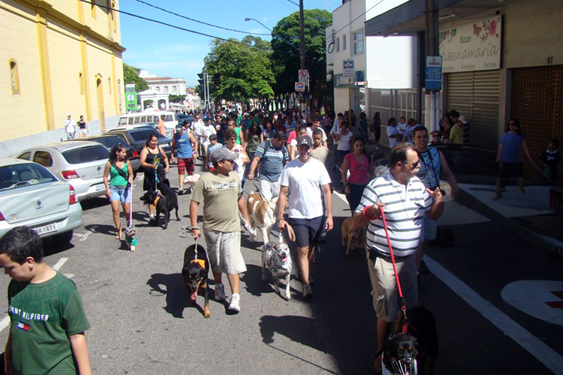 ONG Bicho SA de Itu é retomada com mais projetos e busca voluntários