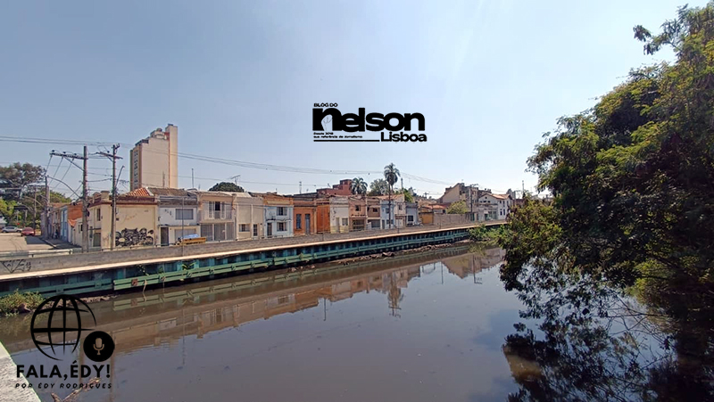 Leia mais sobre o artigo Crime ambiental? peixes e aves aparecem mortos no Rio Jundiaí, na Barra, em Salto