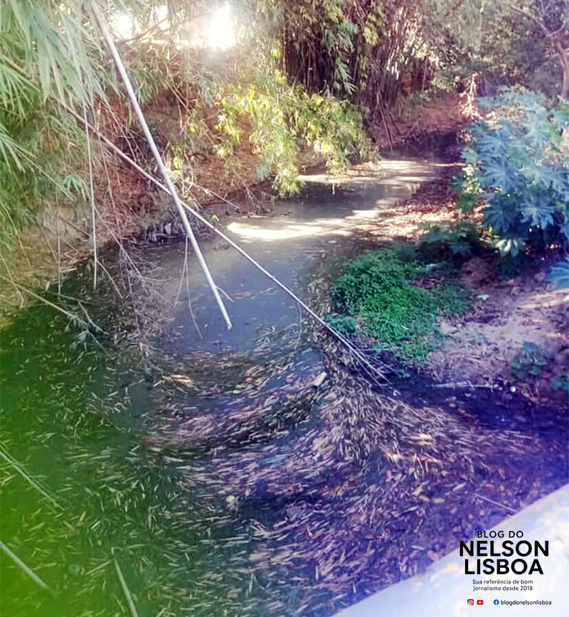 Leia mais sobre o artigo Moradores do União reclamam de córrego poluído represado na Rua Vesúvio, em Salto