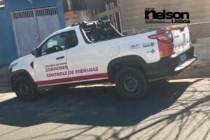 Cidade age para impedir avanço da febre amarela após 1 caso registrado