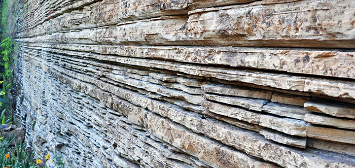 Leia mais sobre o artigo Domingo tem Concerto de Primavera dos 30 anos do Parque do Varvito em Itu