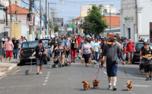 Cãominhada de Itu será neste domingo, dia 26