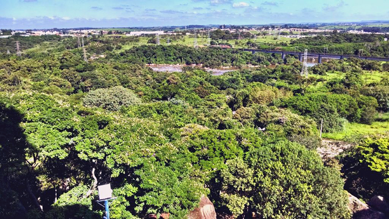 Salto interdita parque após mortes por febre maculosa