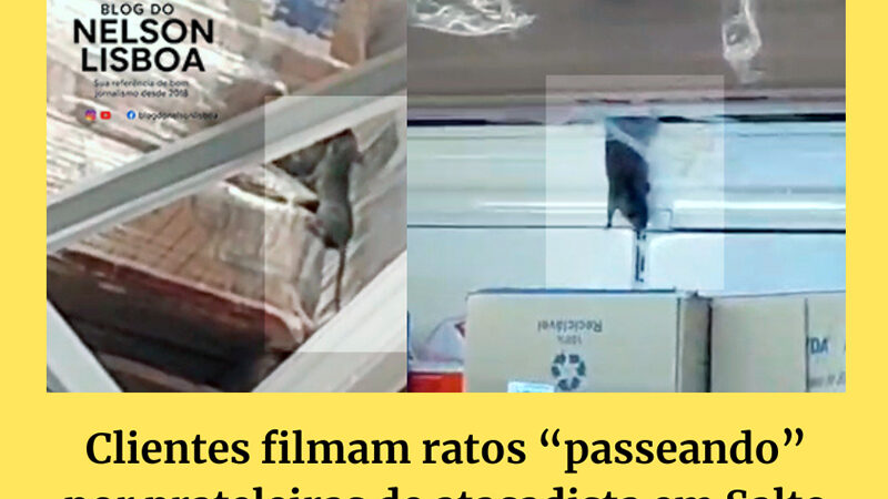 Clientes filmam ratos passeando por prateleiras do Tenda em Salto