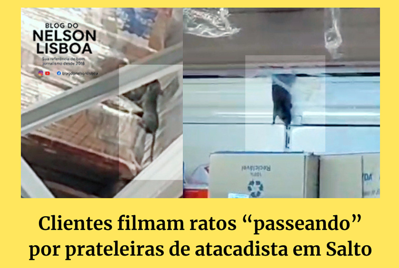 Leia mais sobre o artigo Clientes filmam ratos “passeando” por prateleiras de atacadista em Salto