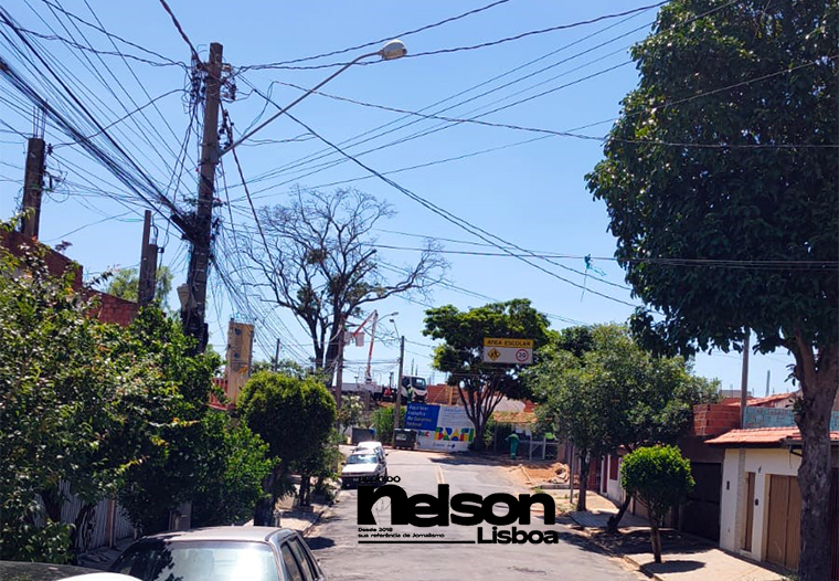 Leia mais sobre o artigo Leitor questiona derrubada de dois pés de ipês no Jardim Celani, em Salto