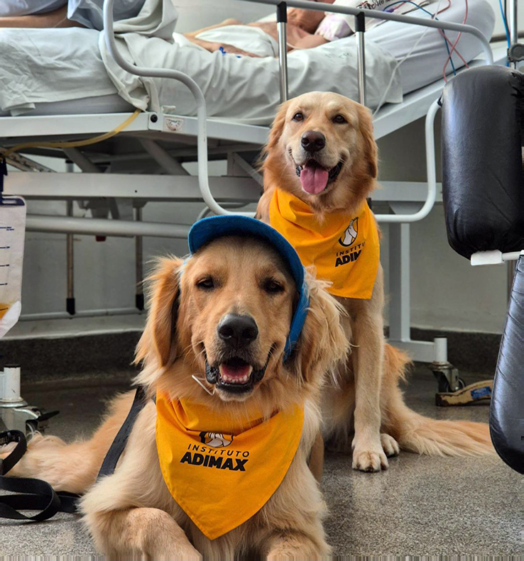 Leia mais sobre o artigo Seja sincero: você já ouviu falar de Pet Terapia?