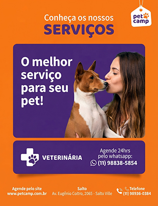Pet Camp chega em Salto