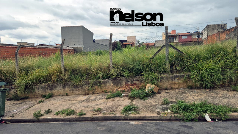 Leia mais sobre o artigo Moradores da Rua Albânia, no Jardim das Nações, sofrem com terrenos tomados por matos