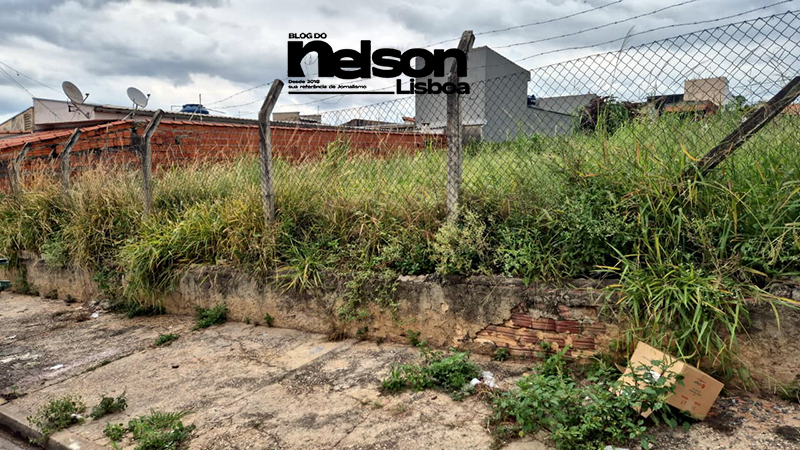 Terrenos desocupados impactam a vizinhança no Jardim das Nações