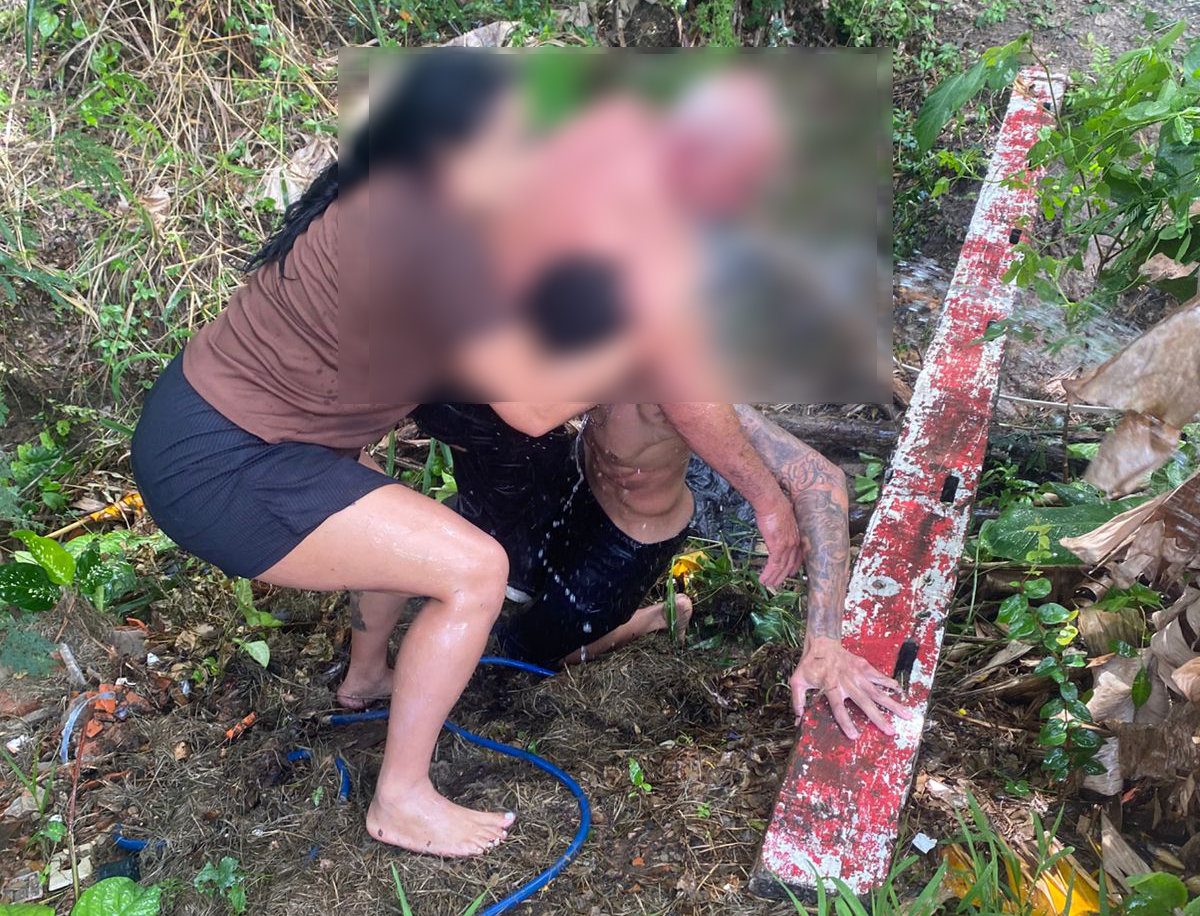 Ataques de abelhas em Salto preocupam e assustam