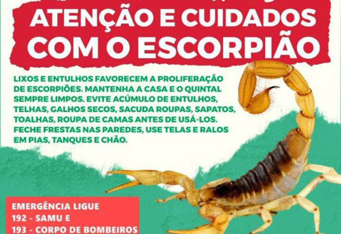 Salto sofreu invasão de escorpiões desde o começo de 2025