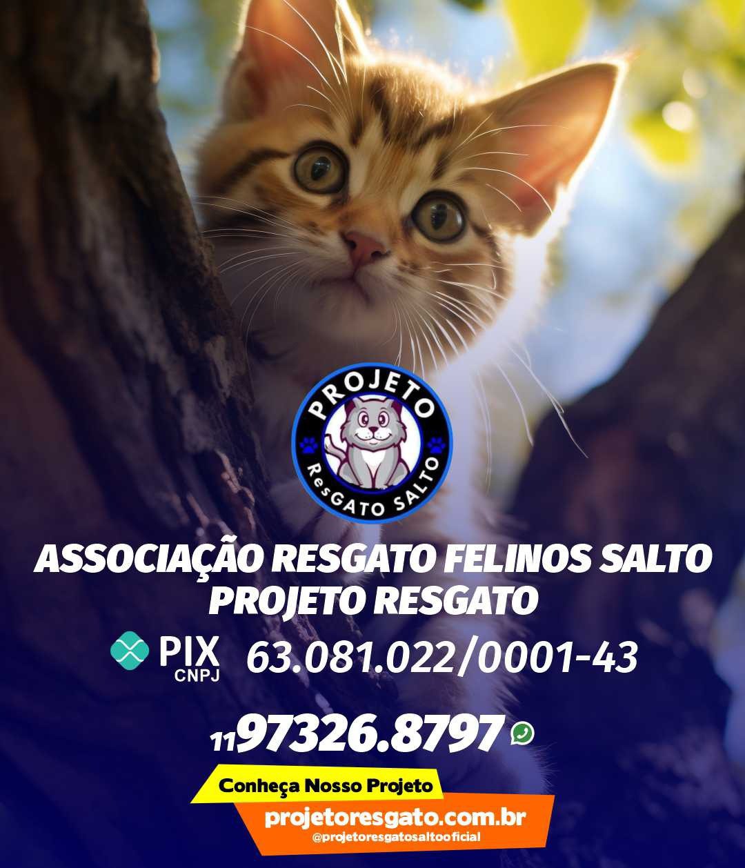Veja como ajudar a causa do projeto Resgato em Salto