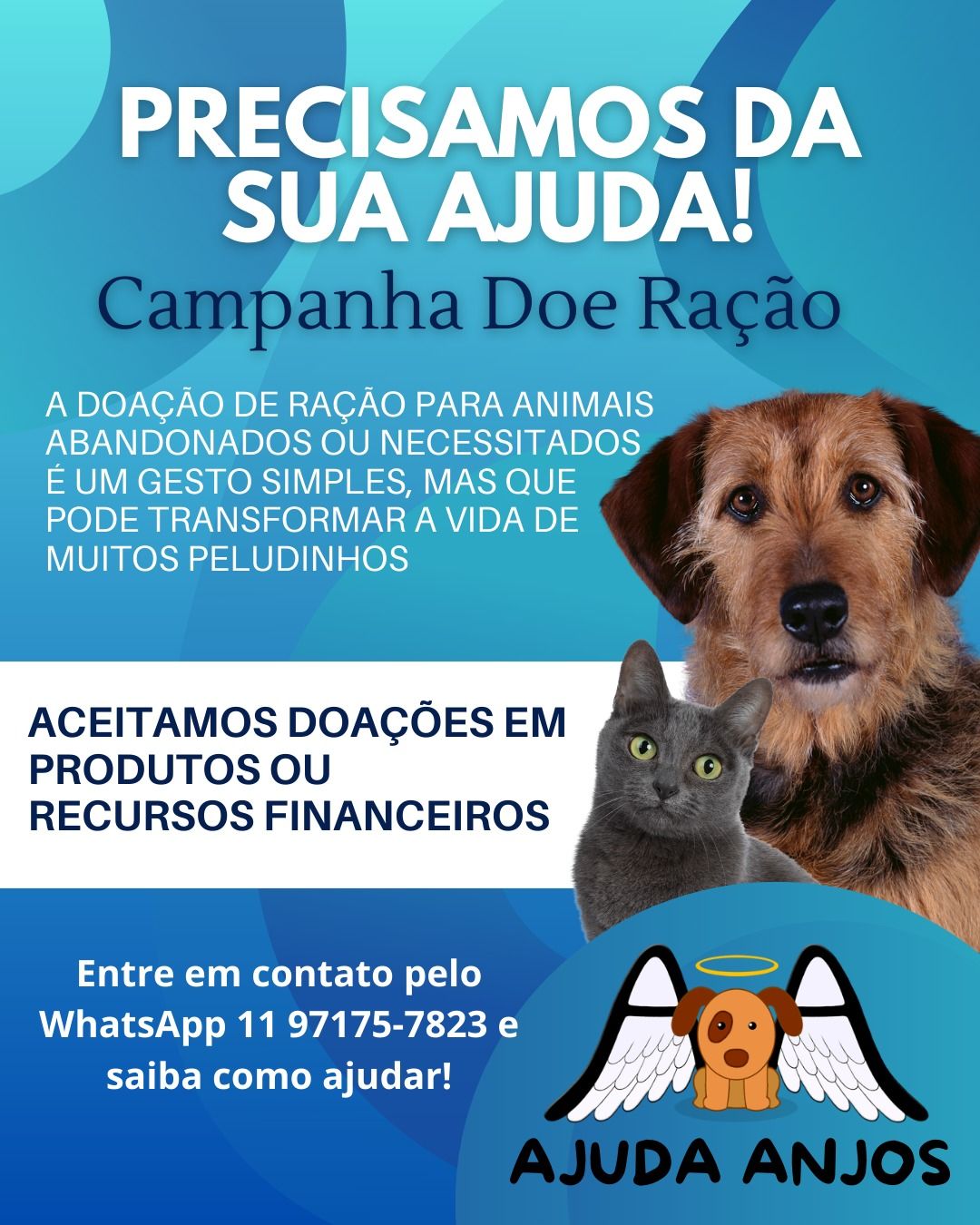 Salto vive colapso da política em favor da causa animal