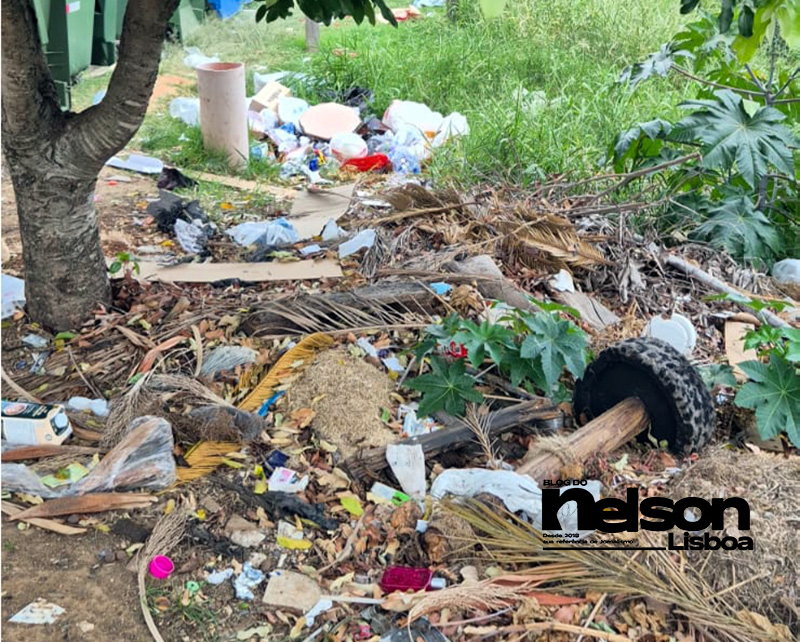 Leia mais sobre o artigo Salto registra mais casos de escorpião que Itu e Indaiatuba juntas, segundo o Estado