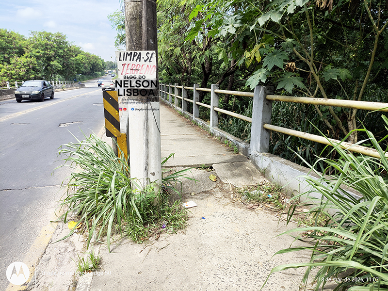 Ponte do Jardim das Nações apresenta desgaste e falta de manutenção