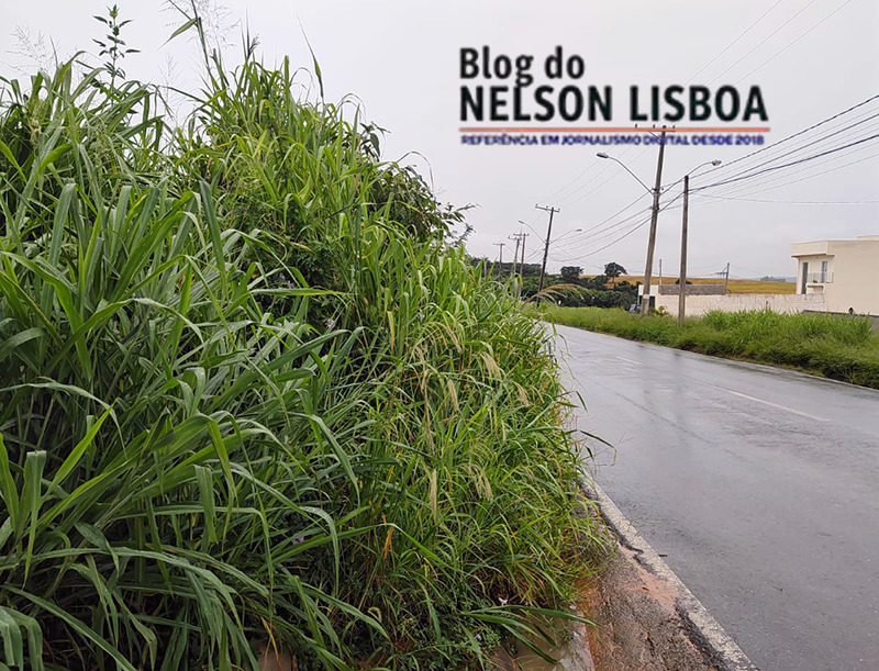 Moradores do Jardim América em Salto pedem atenção para limpeza e iluminação