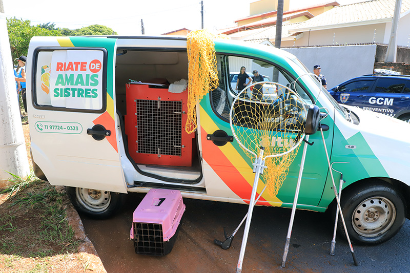 Itu inaugura espaço e homenageia vira-lata morto em Santa Catarina