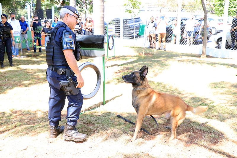 Leia mais sobre o artigo Itu agora tem Espaço Pet em homenagem ao “Cão Orelha” de SC