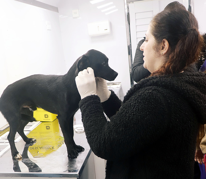 Salto recebe verba federal para ampliar política de proteção animal