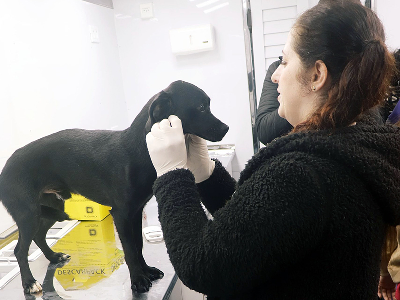 Clínica Veterinária Móvel atenderá região do Jardim das Nações em Salto-SP