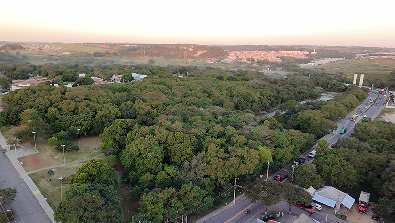 O que era a favela hoje é uma floresta em formação no Jardim das Nações