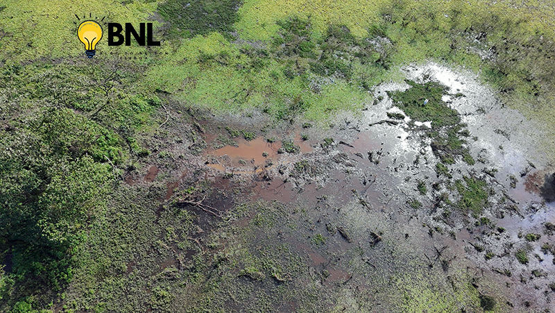 Parque do Lago em Salto é ponto turístico ou reserva ecológica?