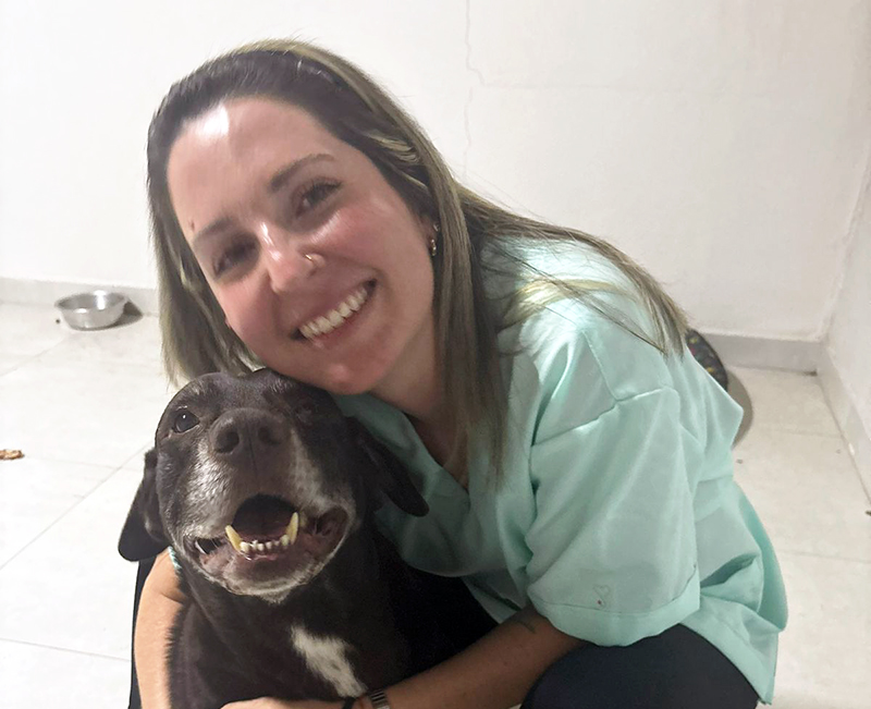 Leia mais sobre o artigo Bem-estar animal: veterinária aposta em terapias alternativas para pets